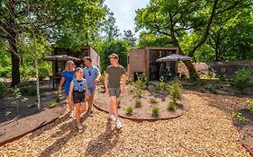 Comfort Rooms By Europarcs De Hooge Veluwe